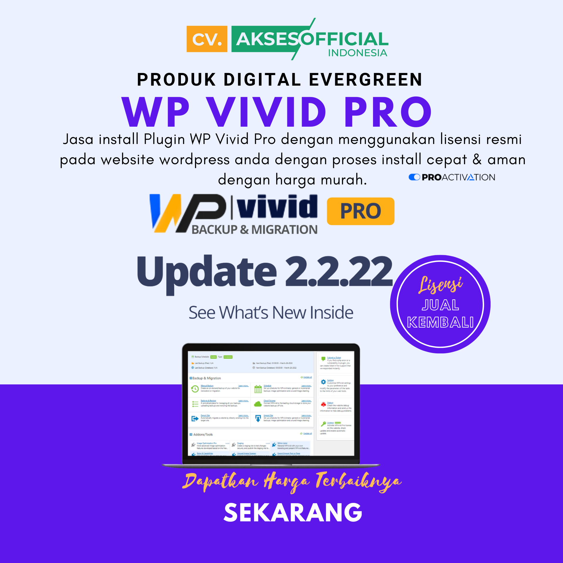 WP Vivid Pro